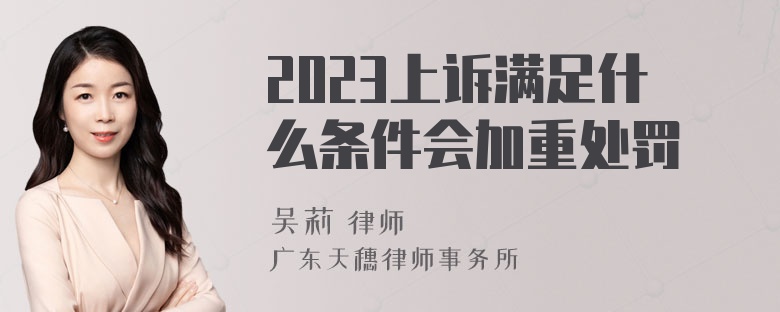 2023上诉满足什么条件会加重处罚