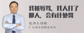 我被辱骂，找人打了那人，会有什处罚