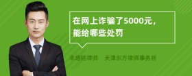 在网上诈骗了5000元，能给哪些处罚