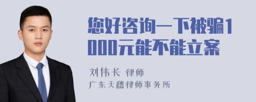 您好咨询一下被骗1000元能不能立案