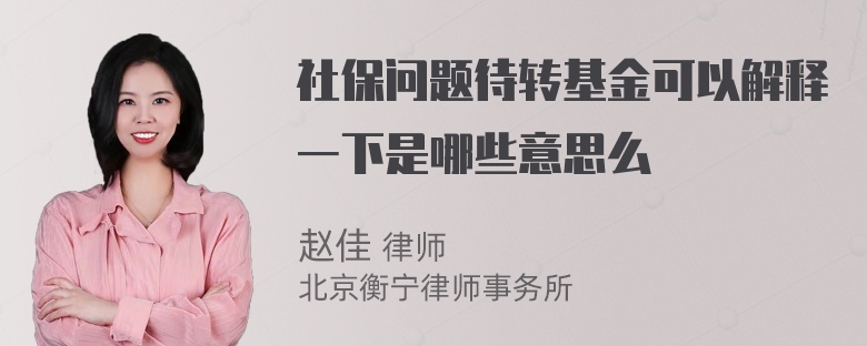 社保问题待转基金可以解释一下是哪些意思么