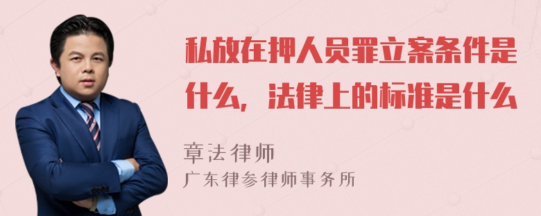 私放在押人员罪立案条件是什么，法律上的标准是什么