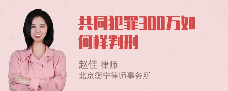 共同犯罪300万如何样判刑