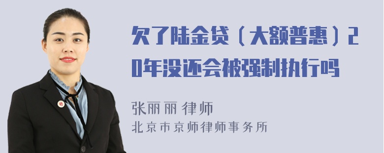 欠了陆金贷（大额普惠）20年没还会被强制执行吗