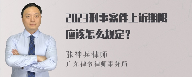 2023刑事案件上诉期限应该怎么规定？