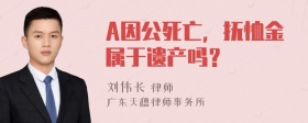 A因公死亡，抚恤金属于遗产吗？