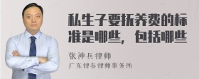 私生子要抚养费的标准是哪些，包括哪些