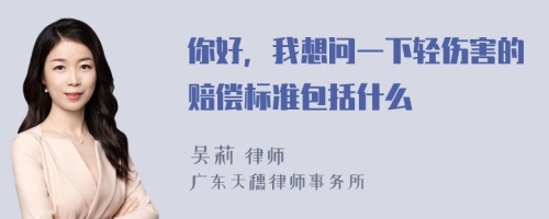 你好，我想问一下轻伤害的赔偿标准包括什么