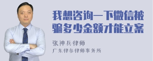 我想咨询一下微信被骗多少金额才能立案