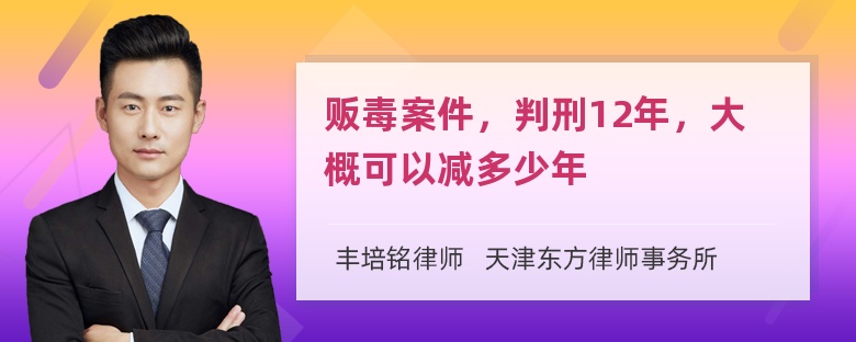 贩毒案件，判刑12年，大概可以减多少年