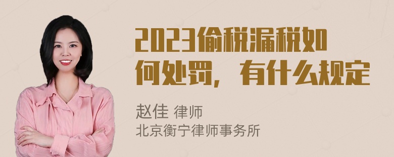 2023偷税漏税如何处罚，有什么规定