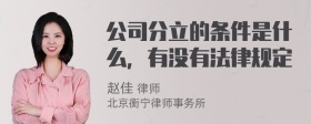 公司分立的条件是什么，有没有法律规定