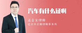 汽车有什么证啊