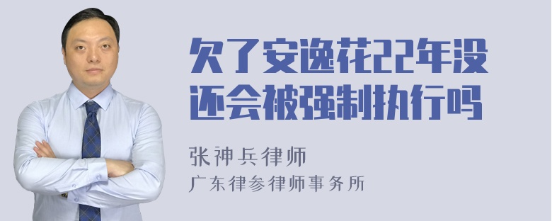 欠了安逸花22年没还会被强制执行吗