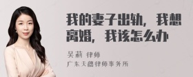 我的妻子出轨，我想离婚，我该怎么办