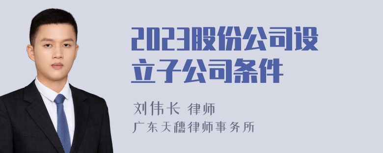 2023股份公司设立子公司条件