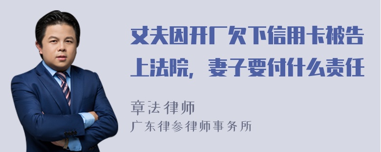 丈夫因开厂欠下信用卡被告上法院，妻子要付什么责任