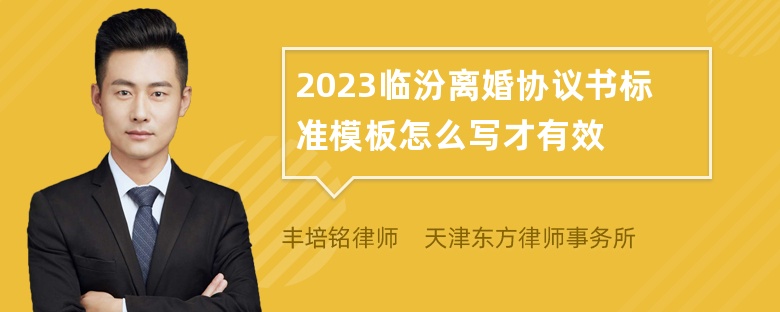 2023临汾离婚协议书标准模板怎么写才有效