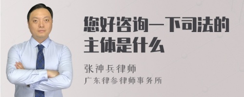 您好咨询一下司法的主体是什么