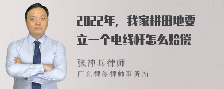 2022年，我家耕田地要立一个电线杆怎么赔偿