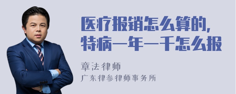 医疗报销怎么算的，特病一年一千怎么报