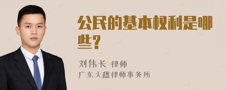 公民的基本权利是哪些?