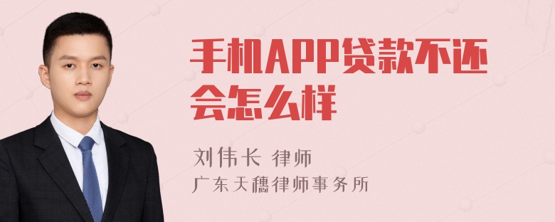 手机APP贷款不还会怎么样