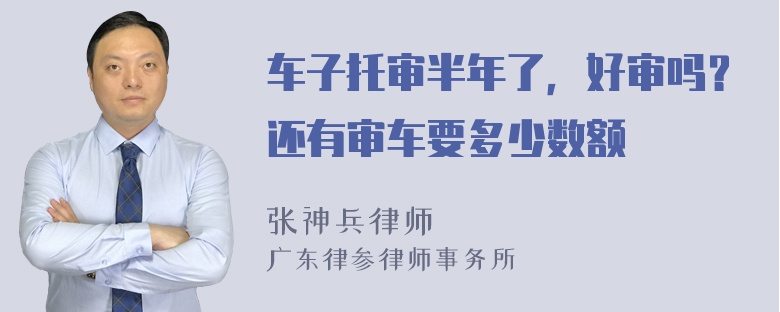 车子托审半年了，好审吗？还有审车要多少数额