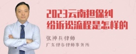 2023云南担保纠纷诉讼流程是怎样的