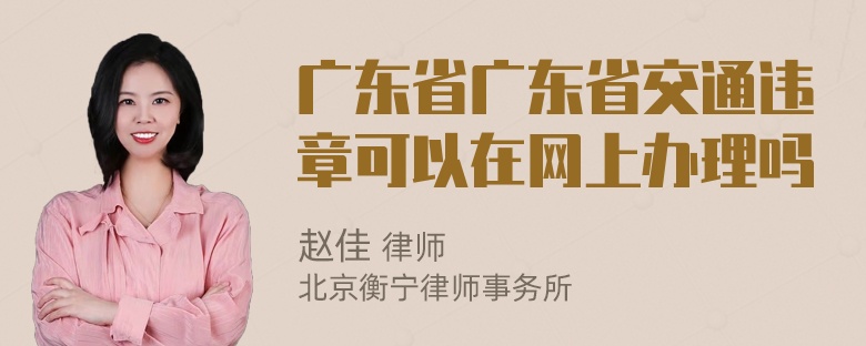 广东省广东省交通违章可以在网上办理吗