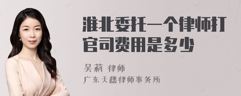 淮北委托一个律师打官司费用是多少