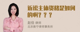 诉讼主体资格是如何的啊？？？