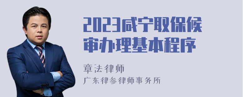 2023咸宁取保候审办理基本程序