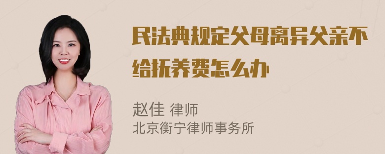 民法典规定父母离异父亲不给抚养费怎么办