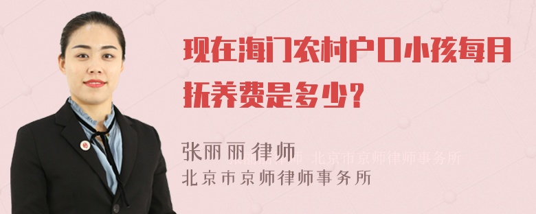 现在海门农村户口小孩每月抚养费是多少？