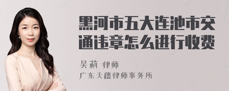 黑河市五大连池市交通违章怎么进行收费