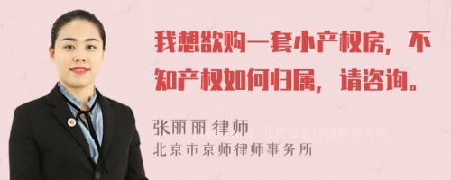 我想欲购一套小产权房，不知产权如何归属，请咨询。