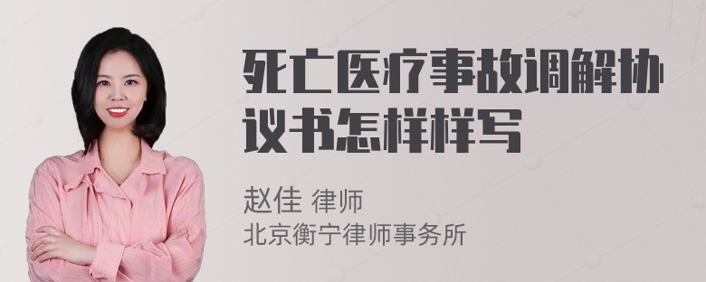 死亡医疗事故调解协议书怎样样写