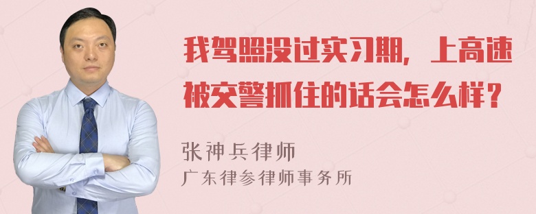 我驾照没过实习期，上高速被交警抓住的话会怎么样？