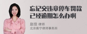 忘记交违章停车罚款已经逾期怎么办啊