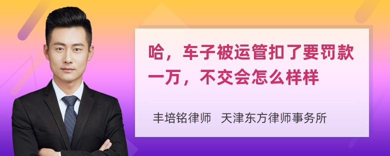 哈，车子被运管扣了要罚款一万，不交会怎么样样