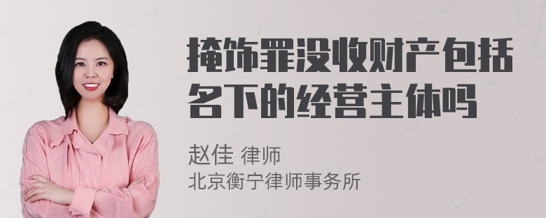 掩饰罪没收财产包括名下的经营主体吗