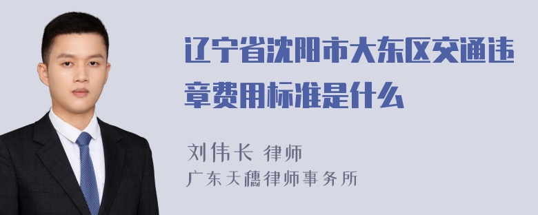 辽宁省沈阳市大东区交通违章费用标准是什么