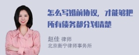 怎么写婚前协议，才能够把所有债务都分划清楚