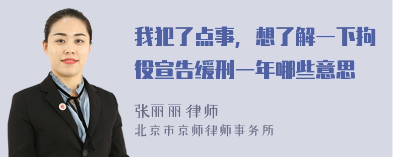 我犯了点事，想了解一下拘役宣告缓刑一年哪些意思