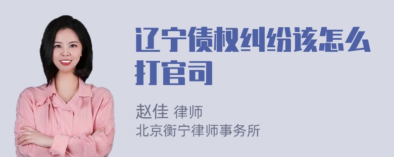 辽宁债权纠纷该怎么打官司