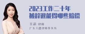 2023工作二十年被辞退能得哪些赔偿