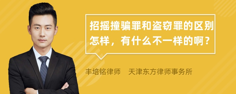 招摇撞骗罪和盗窃罪的区别怎样，有什么不一样的啊？