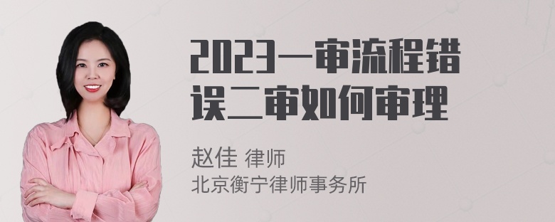 2023一审流程错误二审如何审理