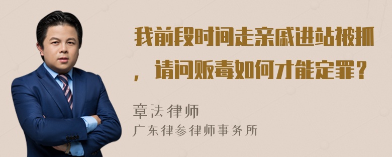 我前段时间走亲戚进站被抓，请问贩毒如何才能定罪？